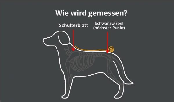dryup®cape ANTHRACITE - Der original Hundebademantel  - Grösse L – Bild 5
