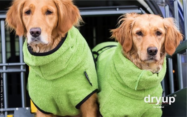 dryup®cape KIWI - Der original Hundebademantel  - Grösse M – Bild 2