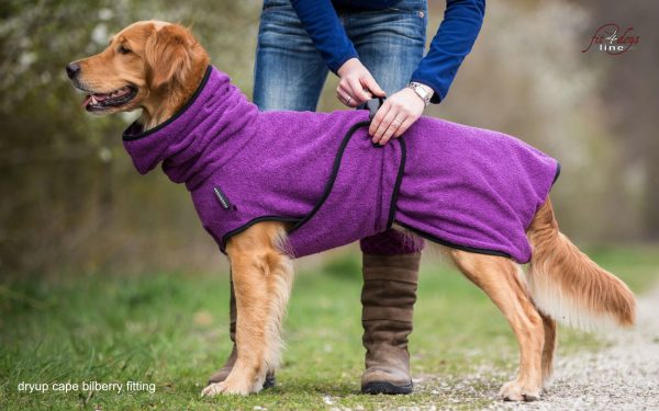 dryup®cape BILBERRY - Der original Hundebademantel  - Grösse L – Bild 2