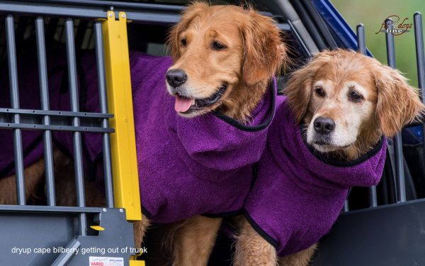 dryup®cape BILBERRY - Der original Hundebademantel  - Grösse L – Bild 5