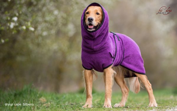 dryup®cape BILBERRY - Der original Hundebademantel  - Grösse L