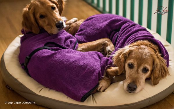 dryup®cape BILBERRY - Der original Hundebademantel  - Grösse L – Bild 3