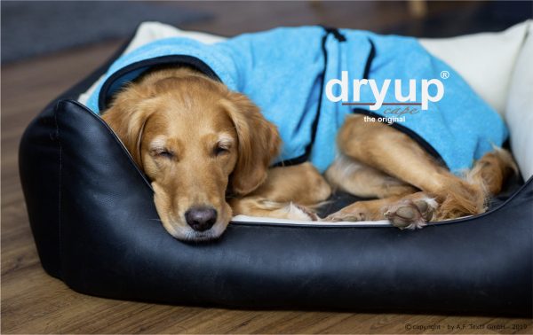 dryup®cape CYAN - Der original Hundebademantel  - Grösse S – Bild 2