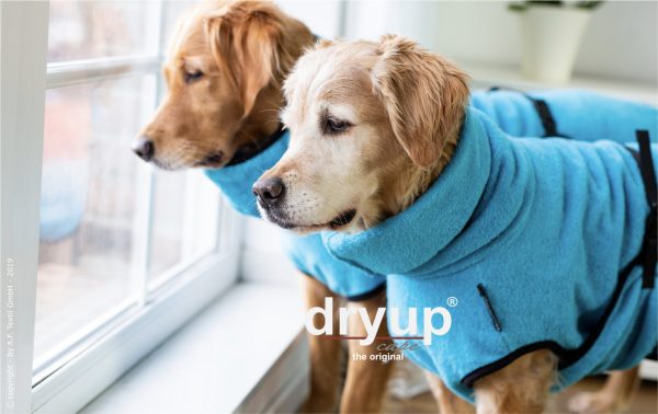 dryup®cape CYAN - Der original Hundebademantel  - Grösse S – Bild 3