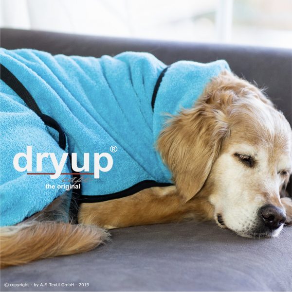 dryup®cape CYAN - Der original Hundebademantel  - Grösse S – Bild 4